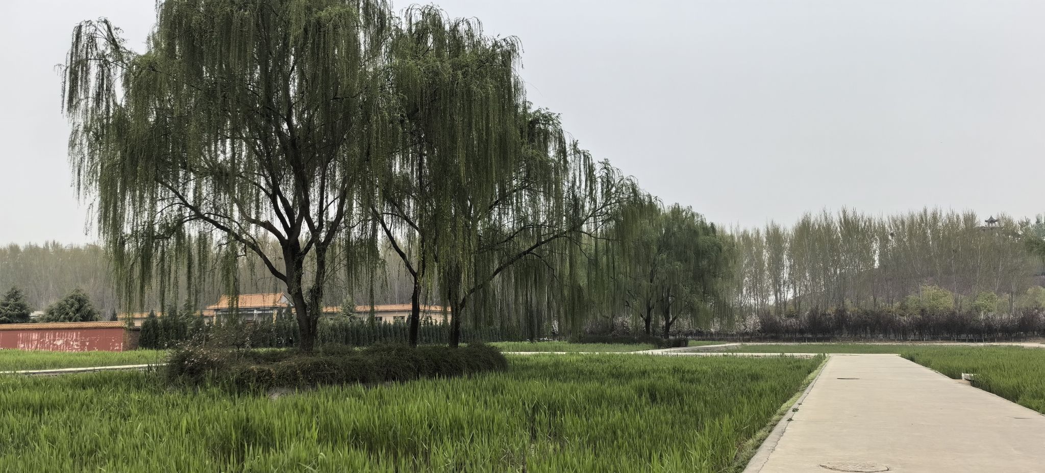 翠屏湿地公园旅行图片 3