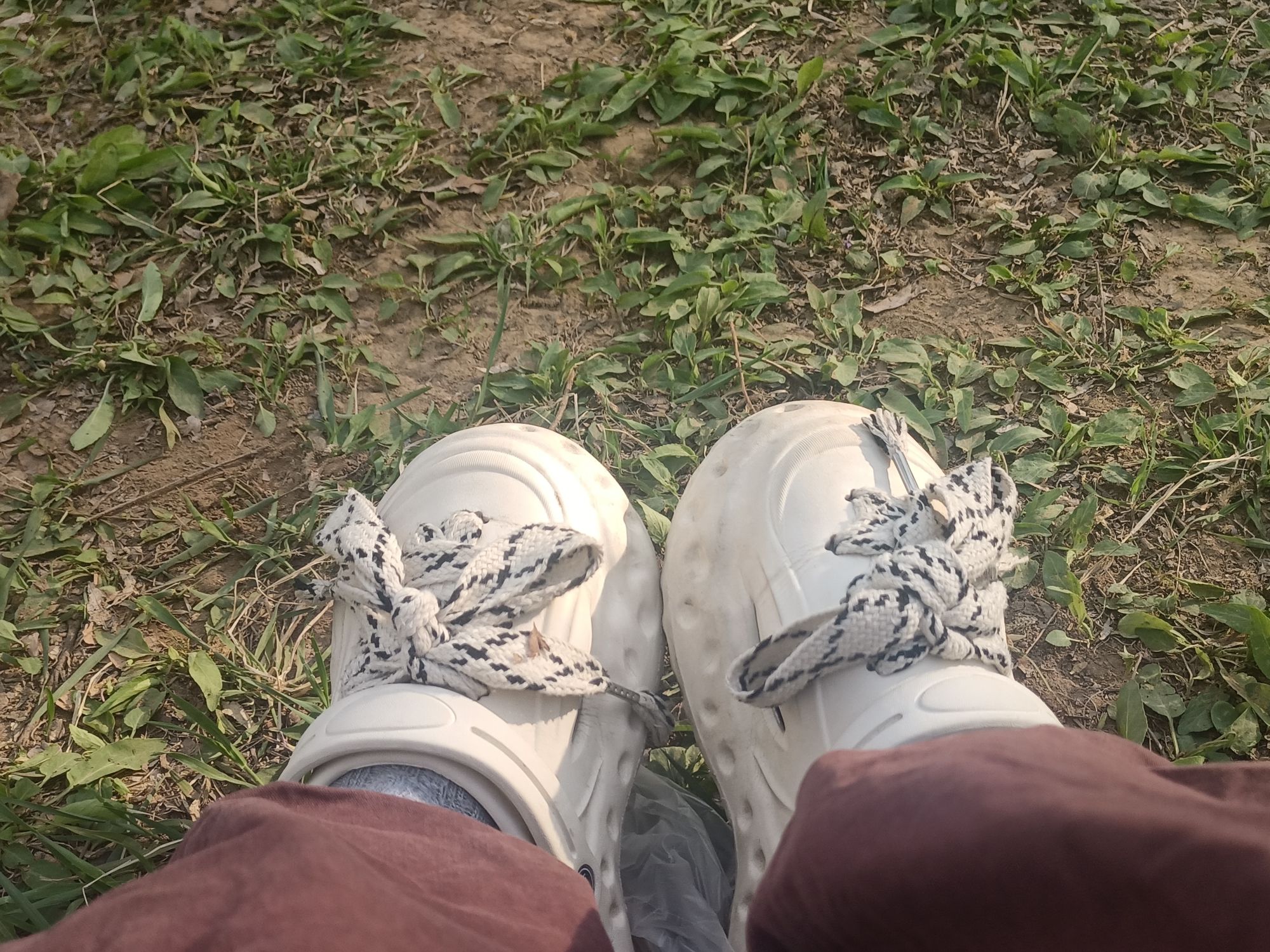 翠屏湿地公园旅行图片 1