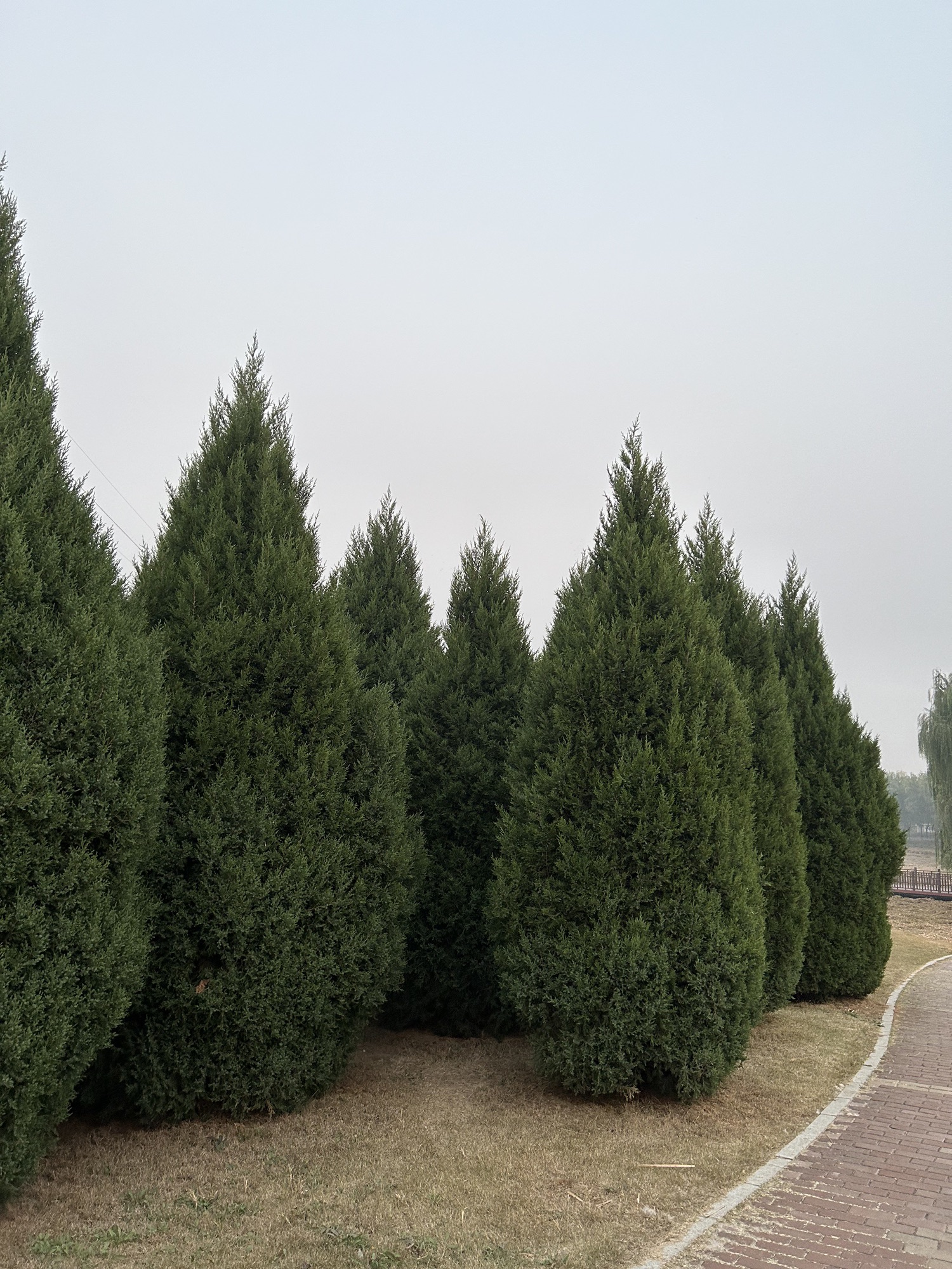 翠屏湿地公园旅行图片 1