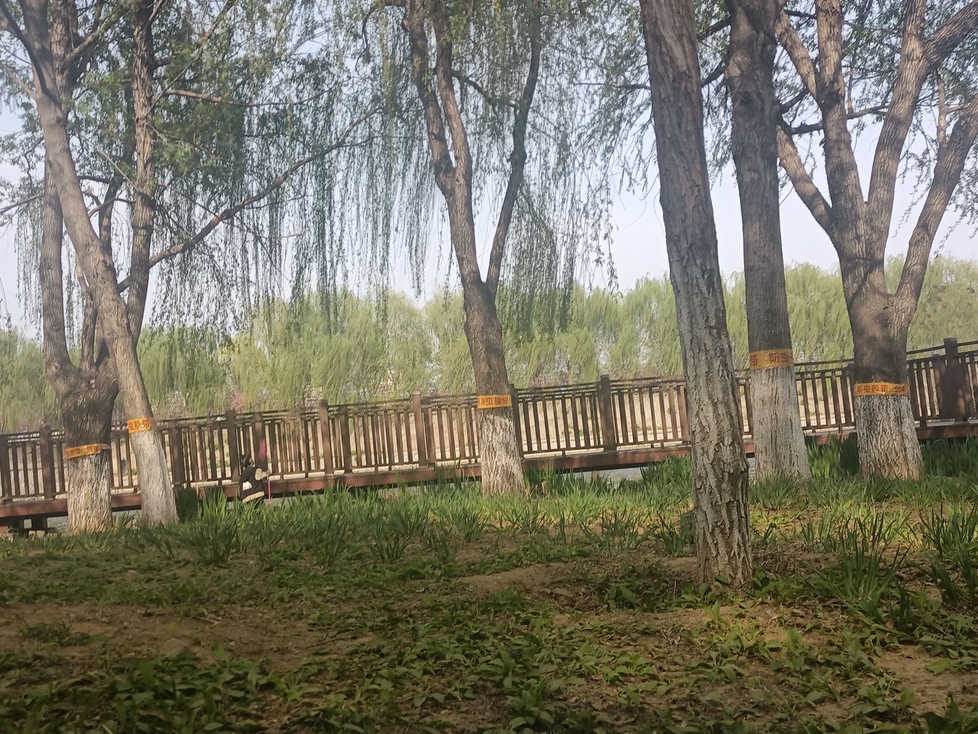 翠屏湿地公园旅行图片 3