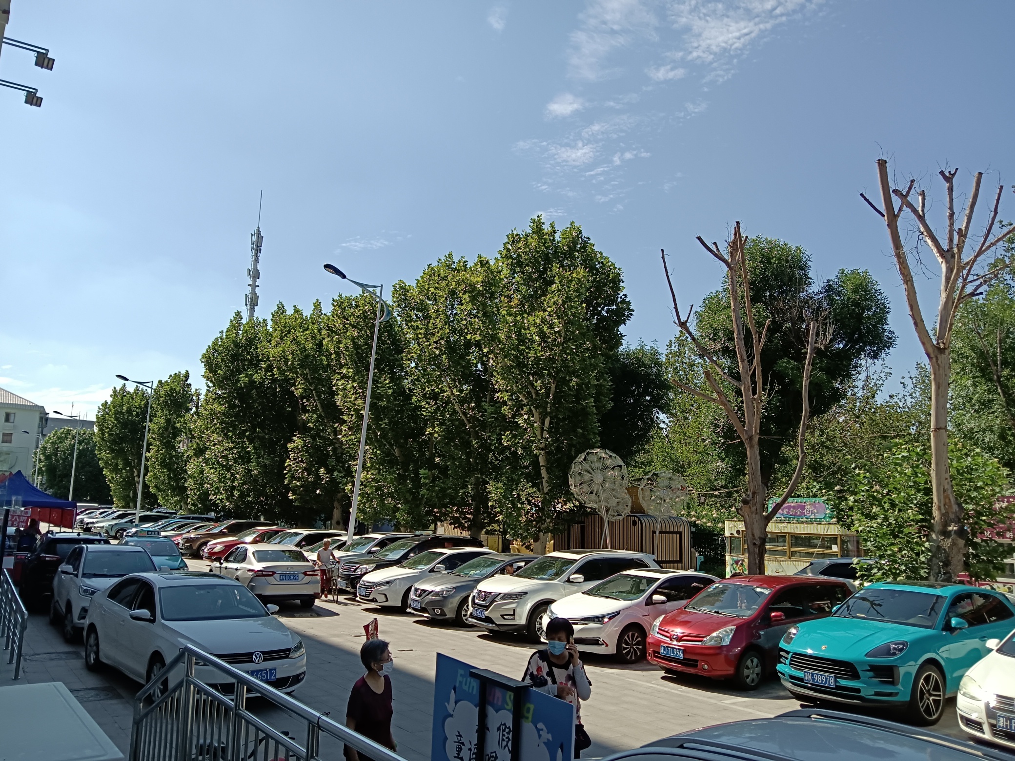 西青体育公园旅行图片 3