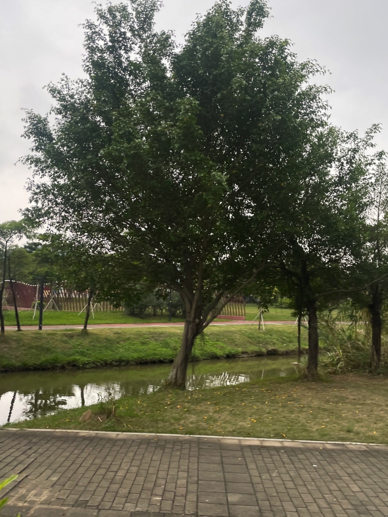 园山湖公园旅行图片 1
