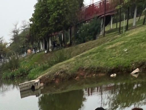 园山湖公园旅行图片 1