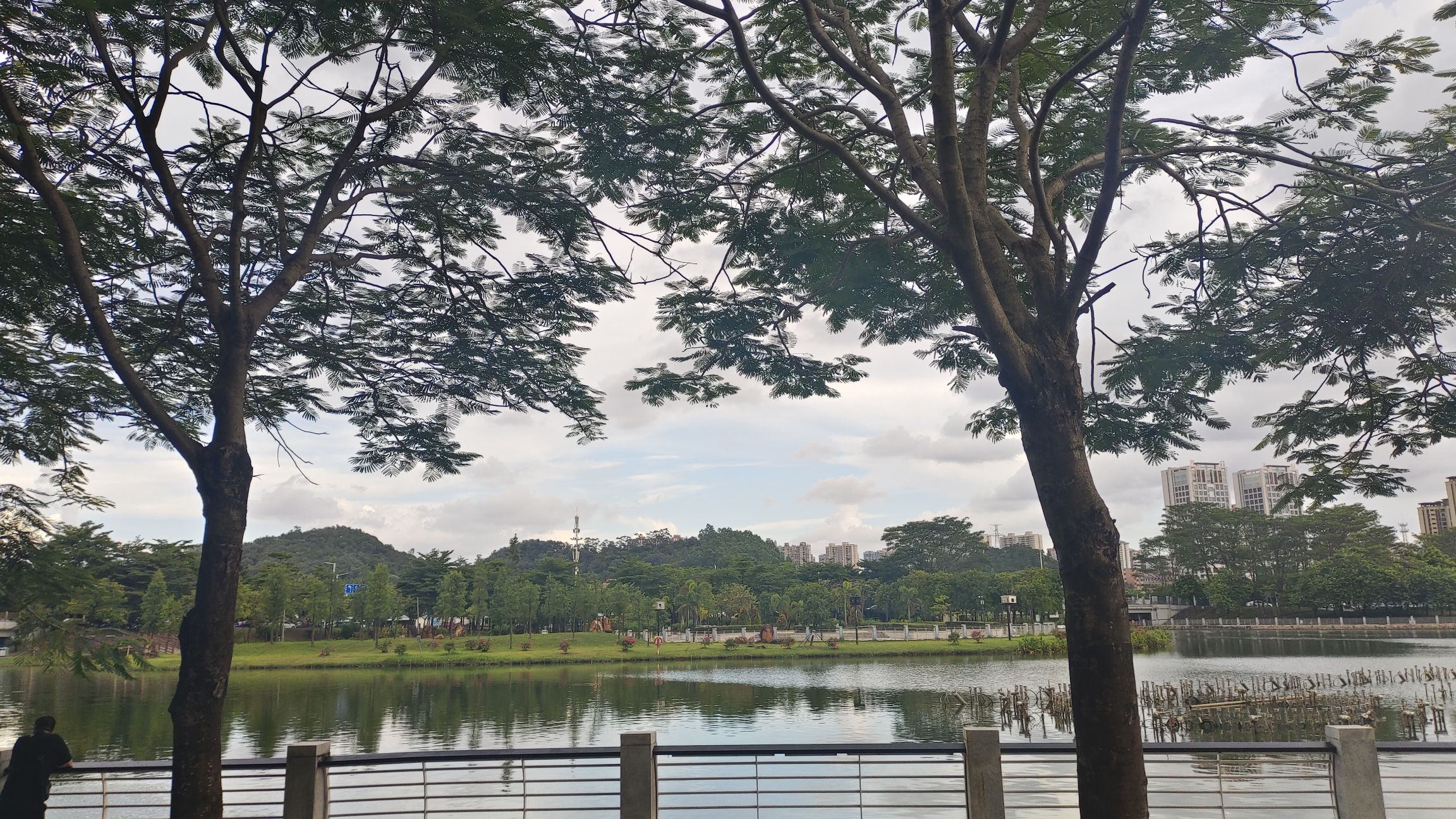 园山湖公园旅行图片 2