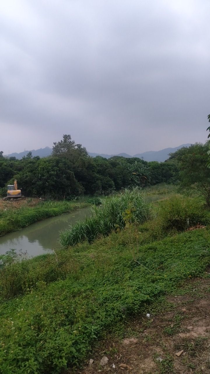 官浔溪公园旅行图片 3