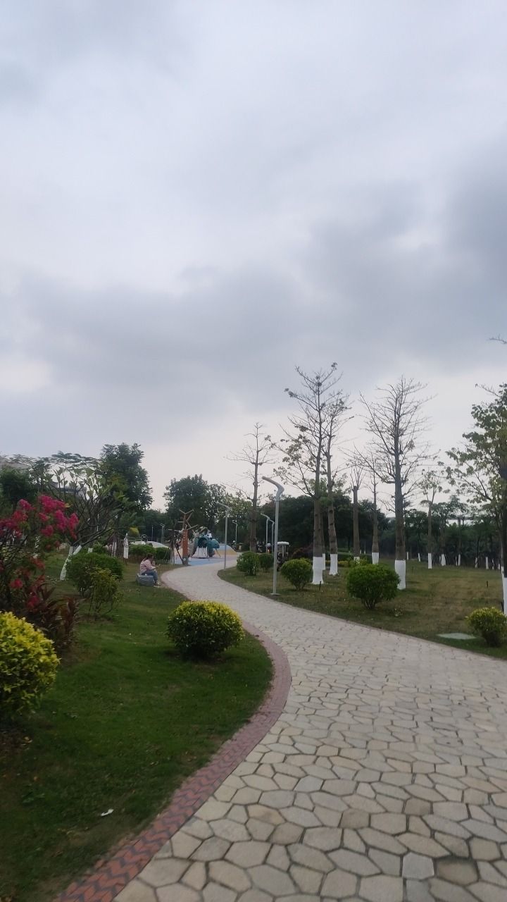 官浔溪公园旅行图片 1