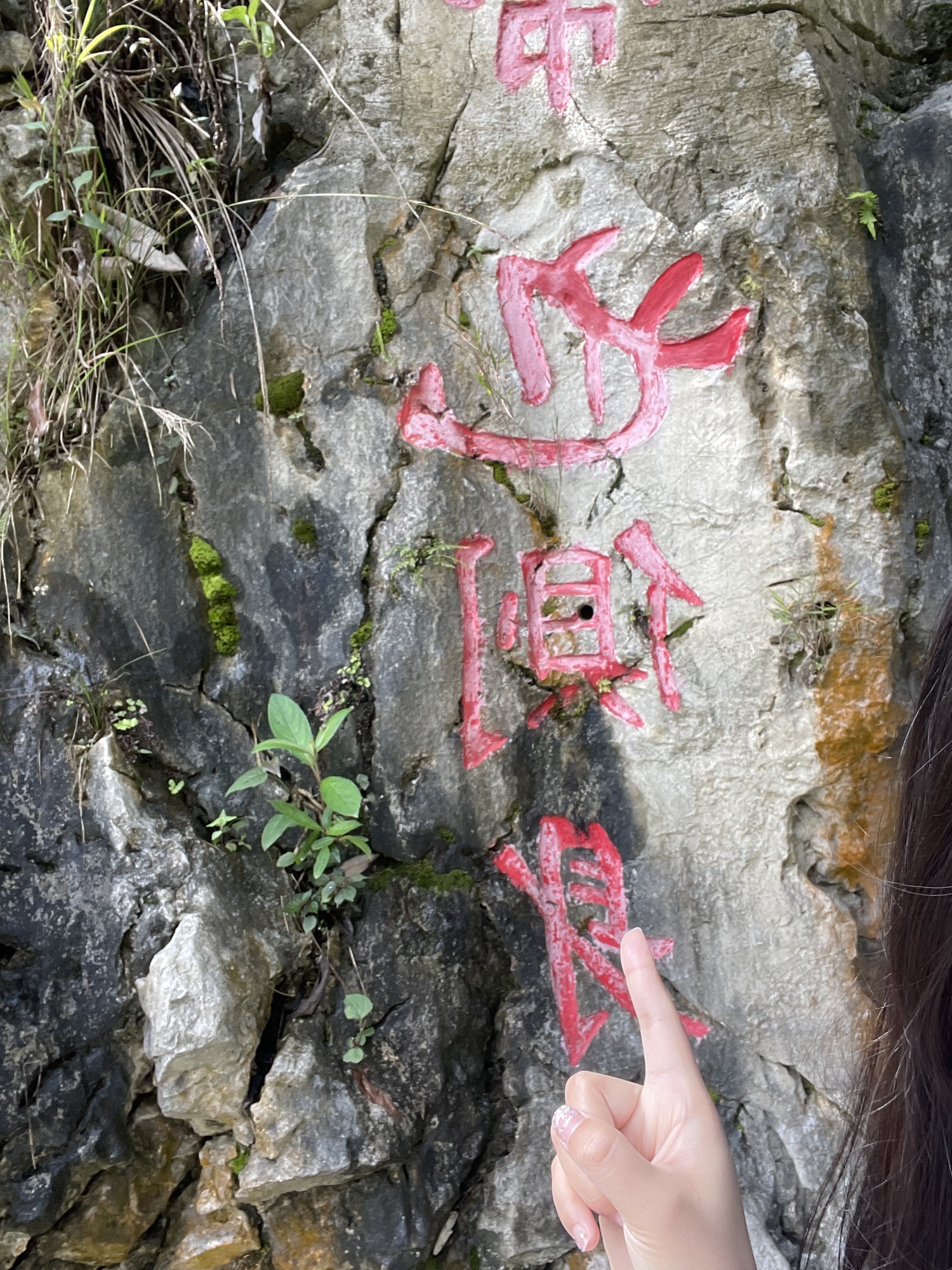 华蓥山天意谷旅行图片 3