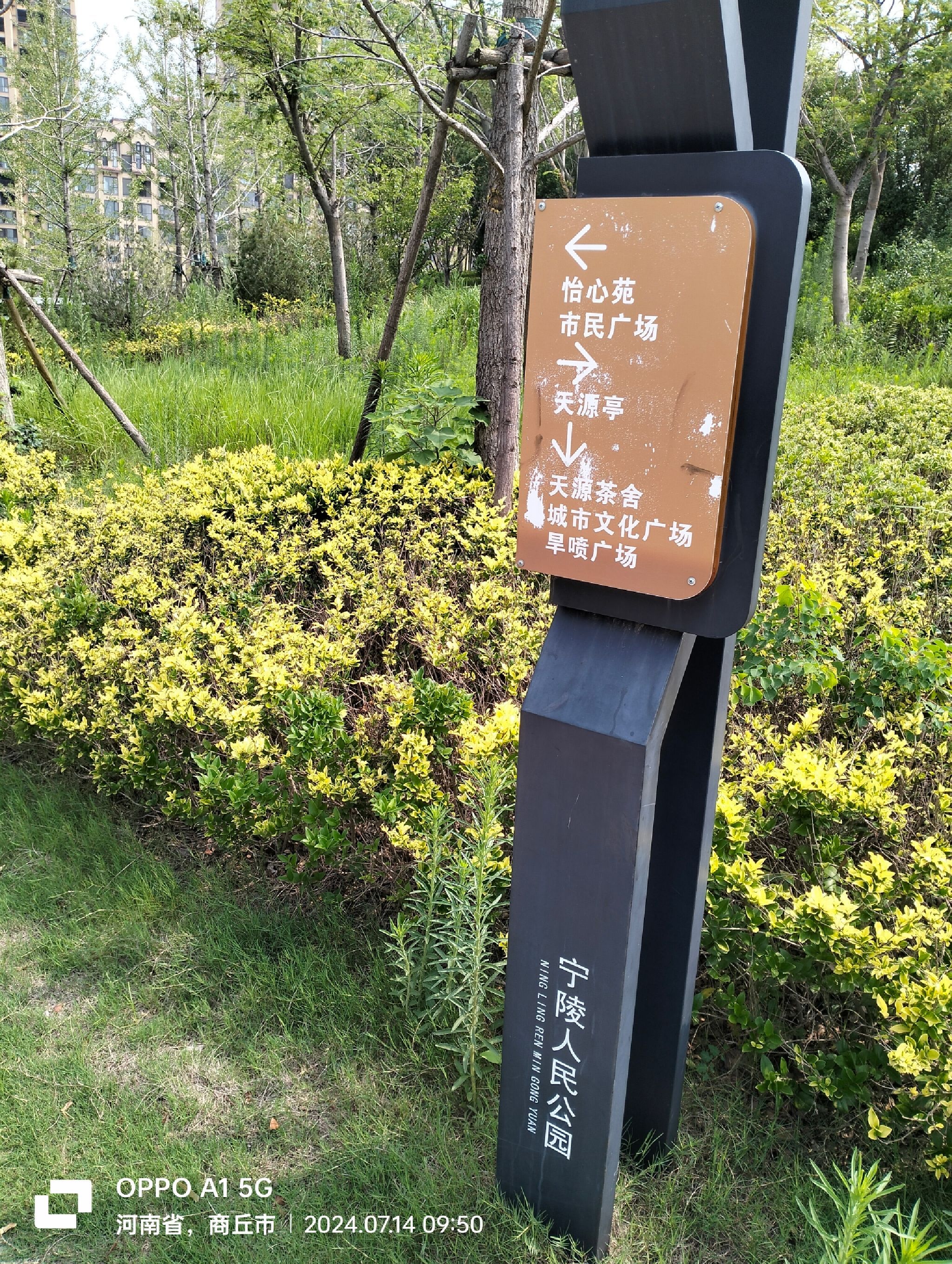 宁陵县人民公园旅行图片 1