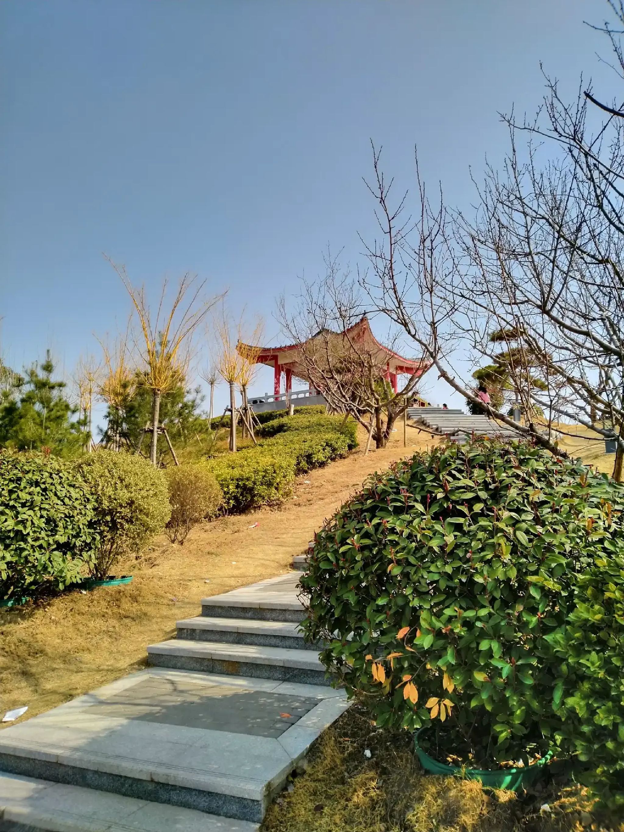 宁陵县人民公园旅行图片 3