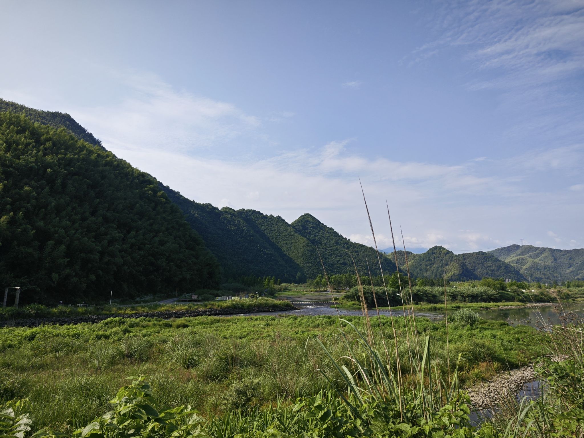 安吉湿地旅行图片 3