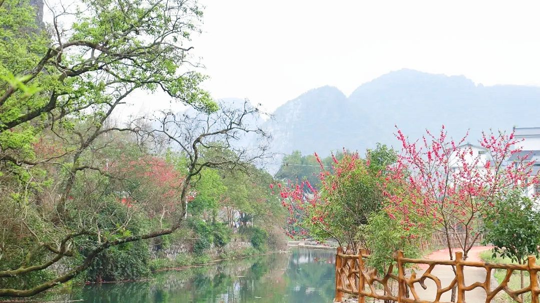 杨村风景区旅行图片 2