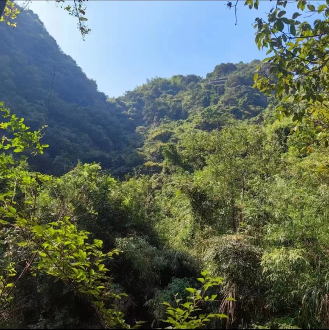 龙井瀑布旅行图片 2