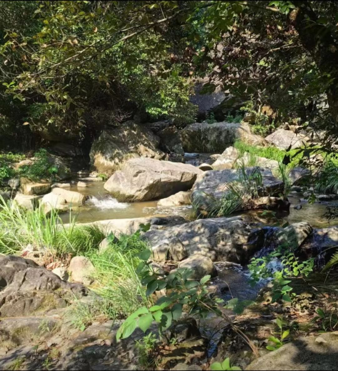 龙井瀑布旅行图片 3