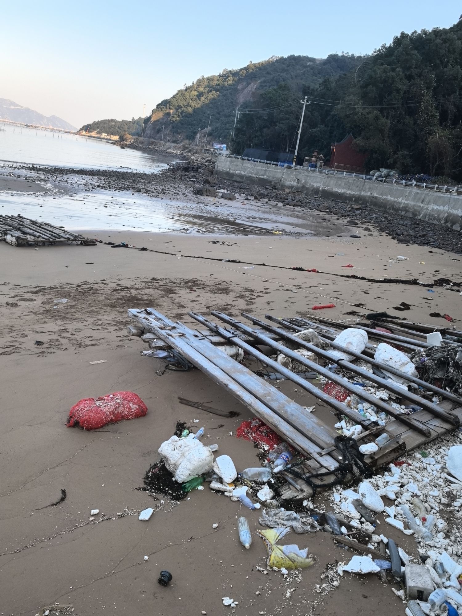 牛澳沙滩旅行图片 3