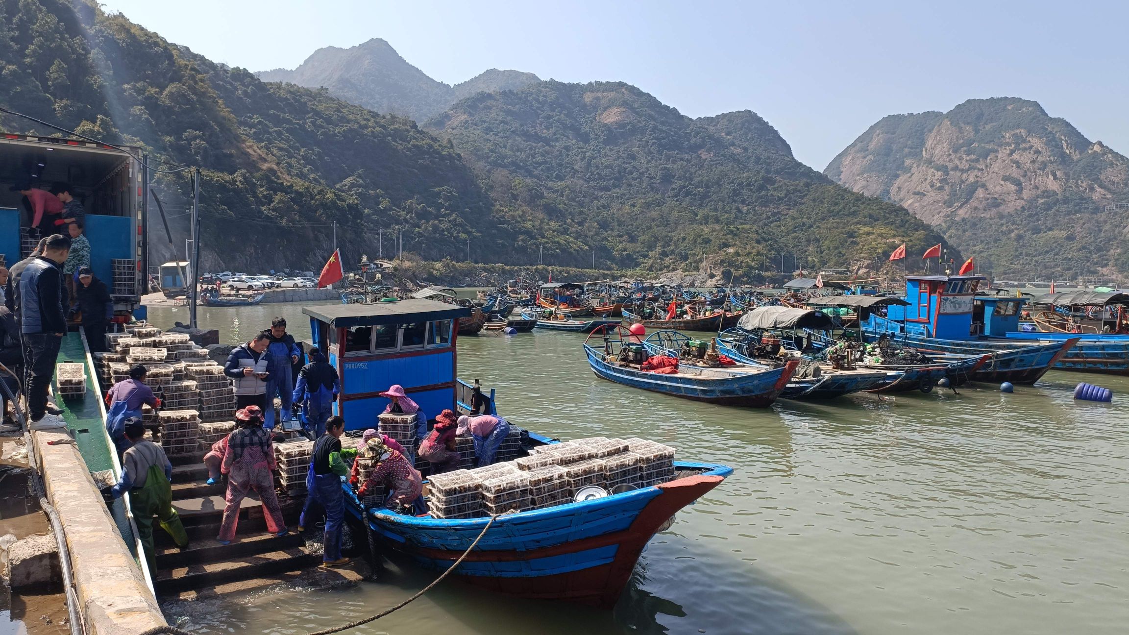 牛澳沙滩旅行图片 1