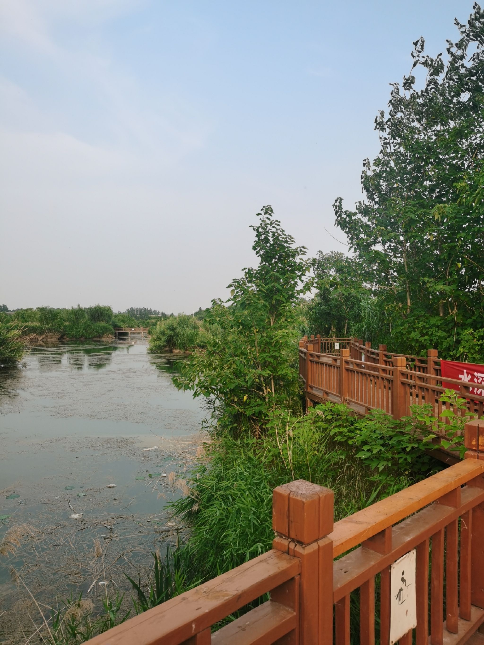 孟津黄河湿地公园旅行图片 1