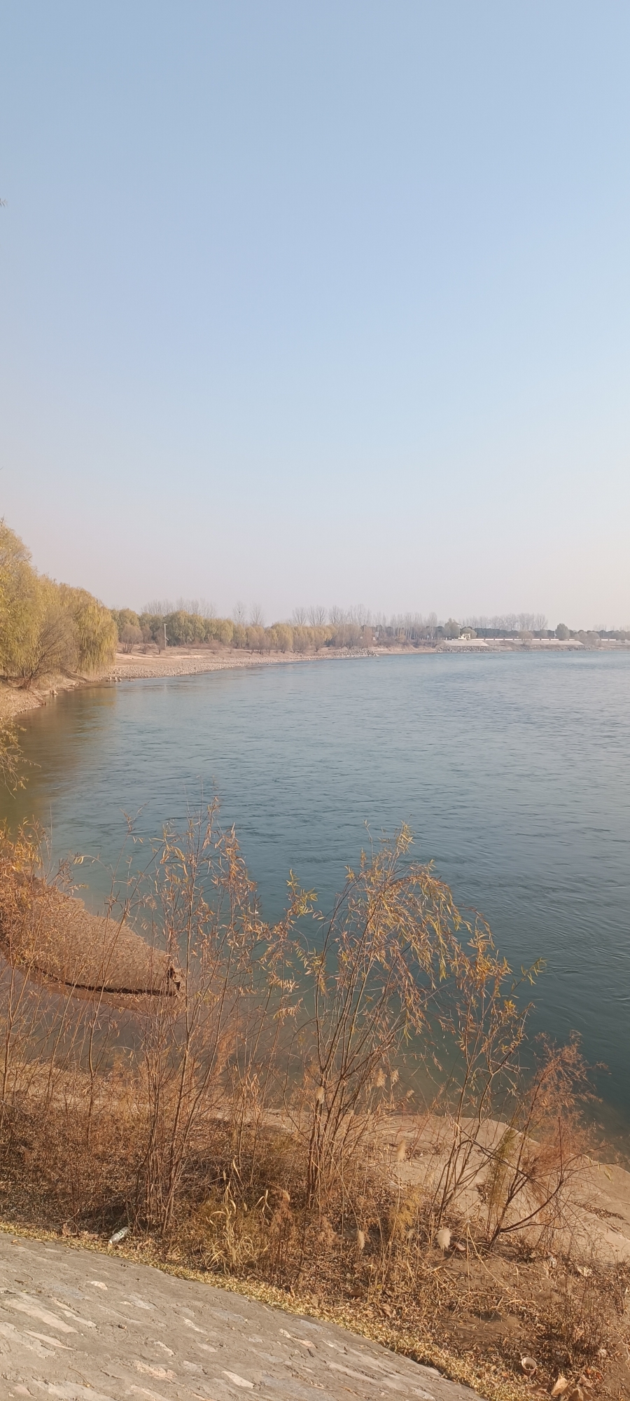 孟津黄河湿地公园旅行图片 1