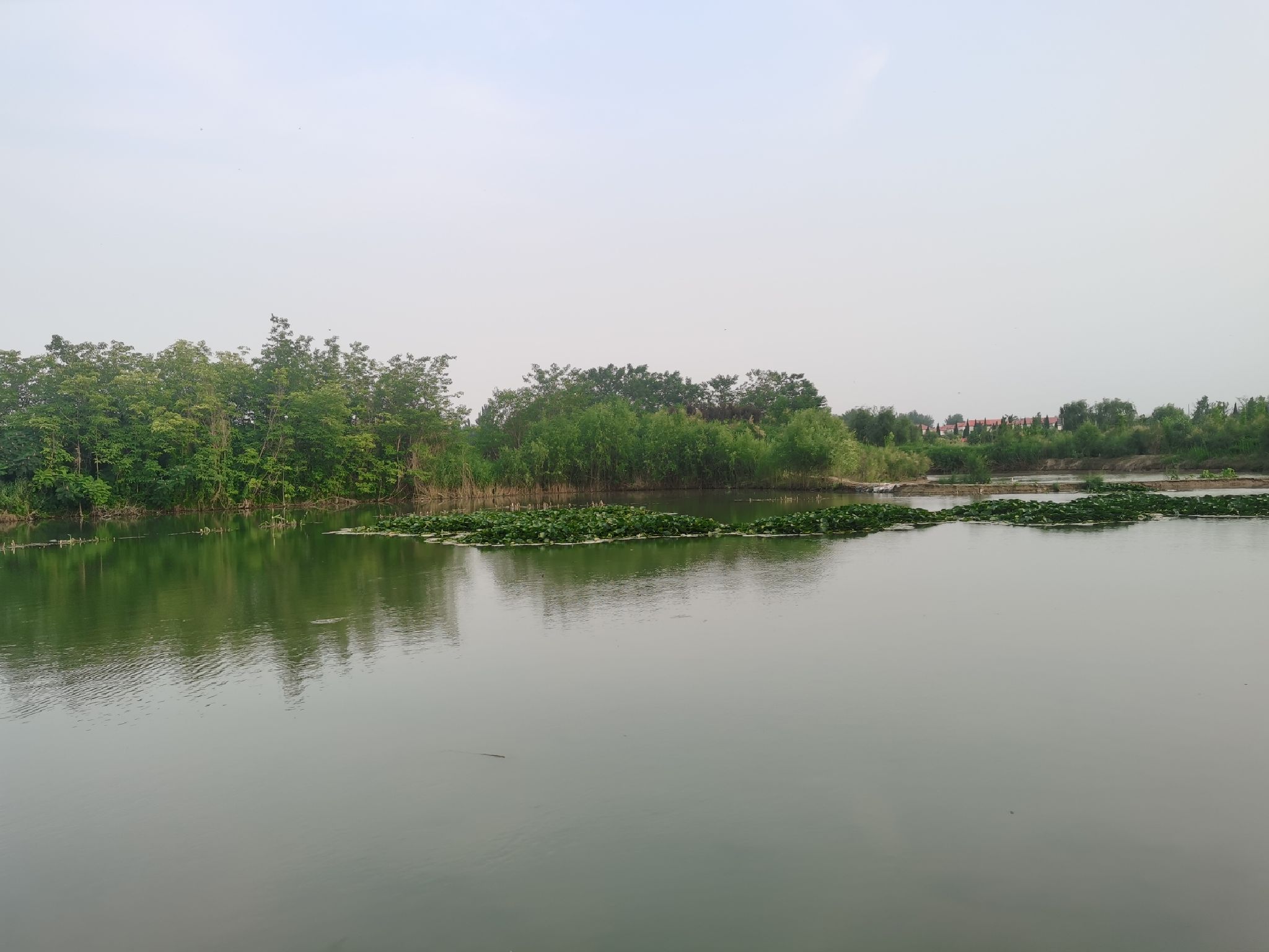 孟津黄河湿地公园旅行图片 3