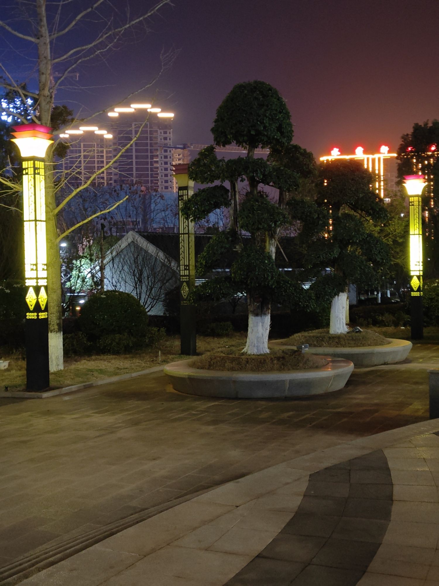 黄花公园旅行图片 3