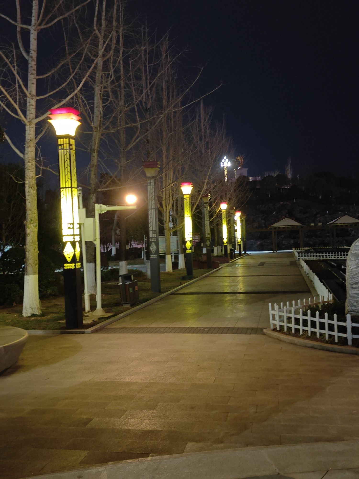 黄花公园旅行图片 2