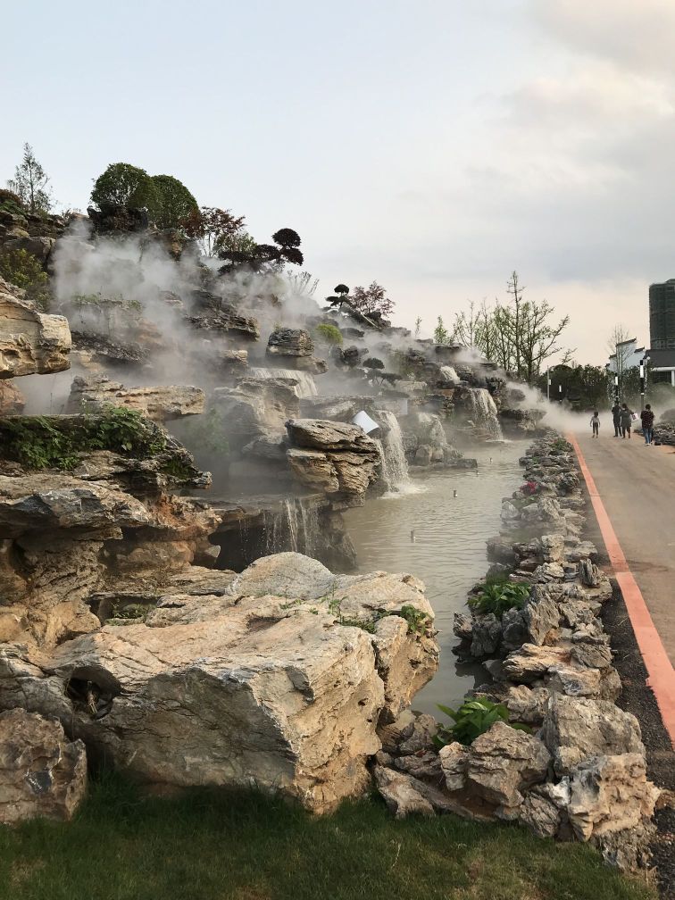 黄花公园旅行图片 2