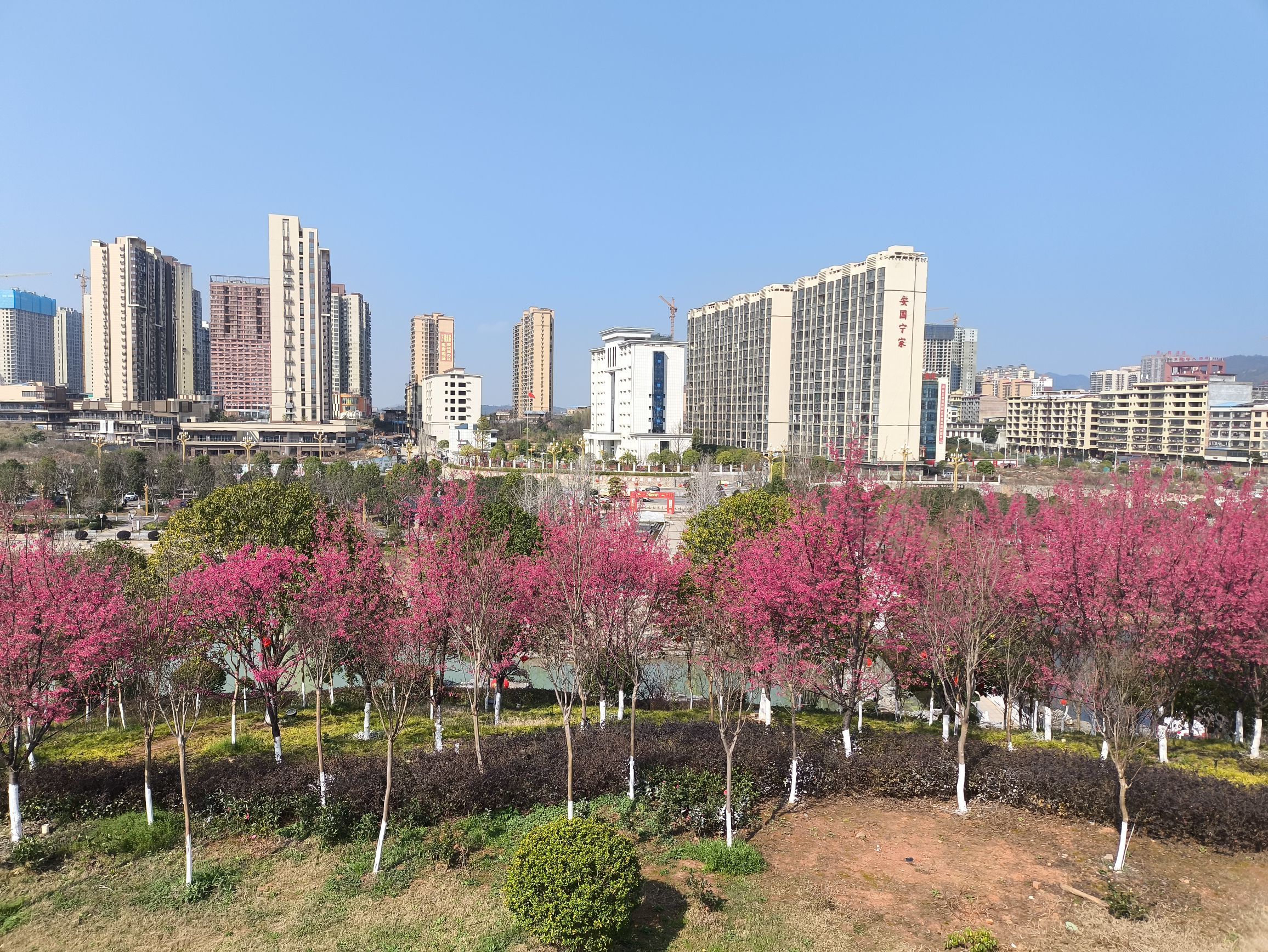 黄花公园