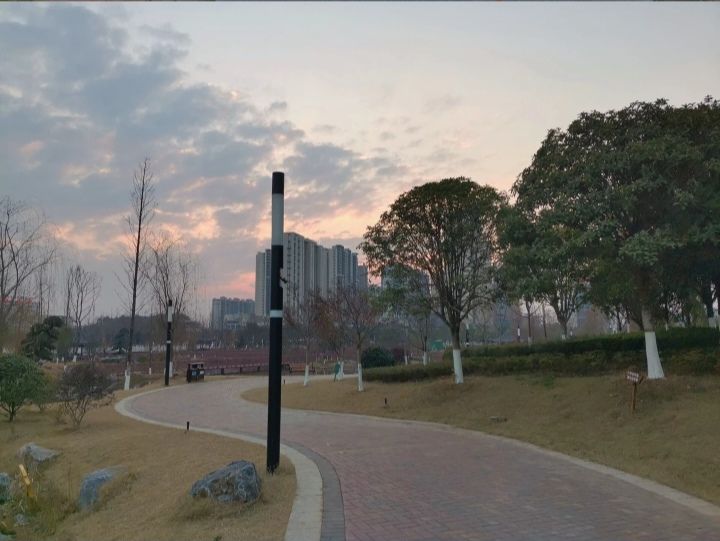 黄花公园旅行图片 3