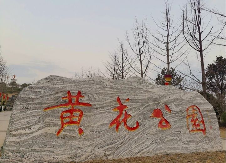 黄花公园旅行图片 1
