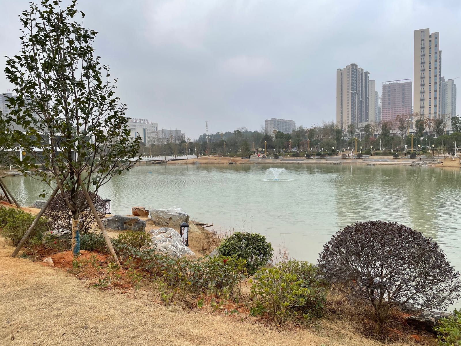 黄花公园旅行图片 3