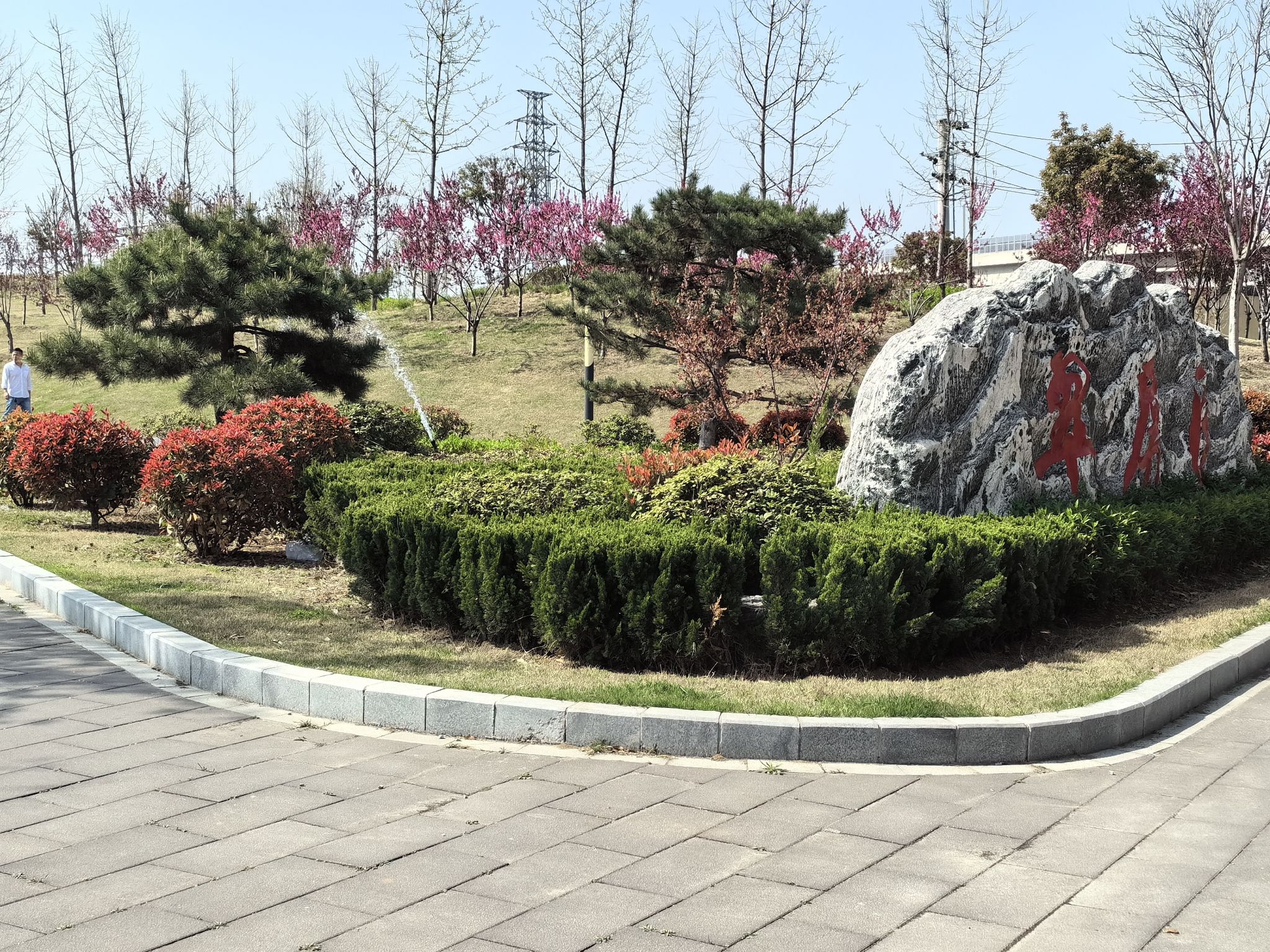 翠屏园旅行图片 2