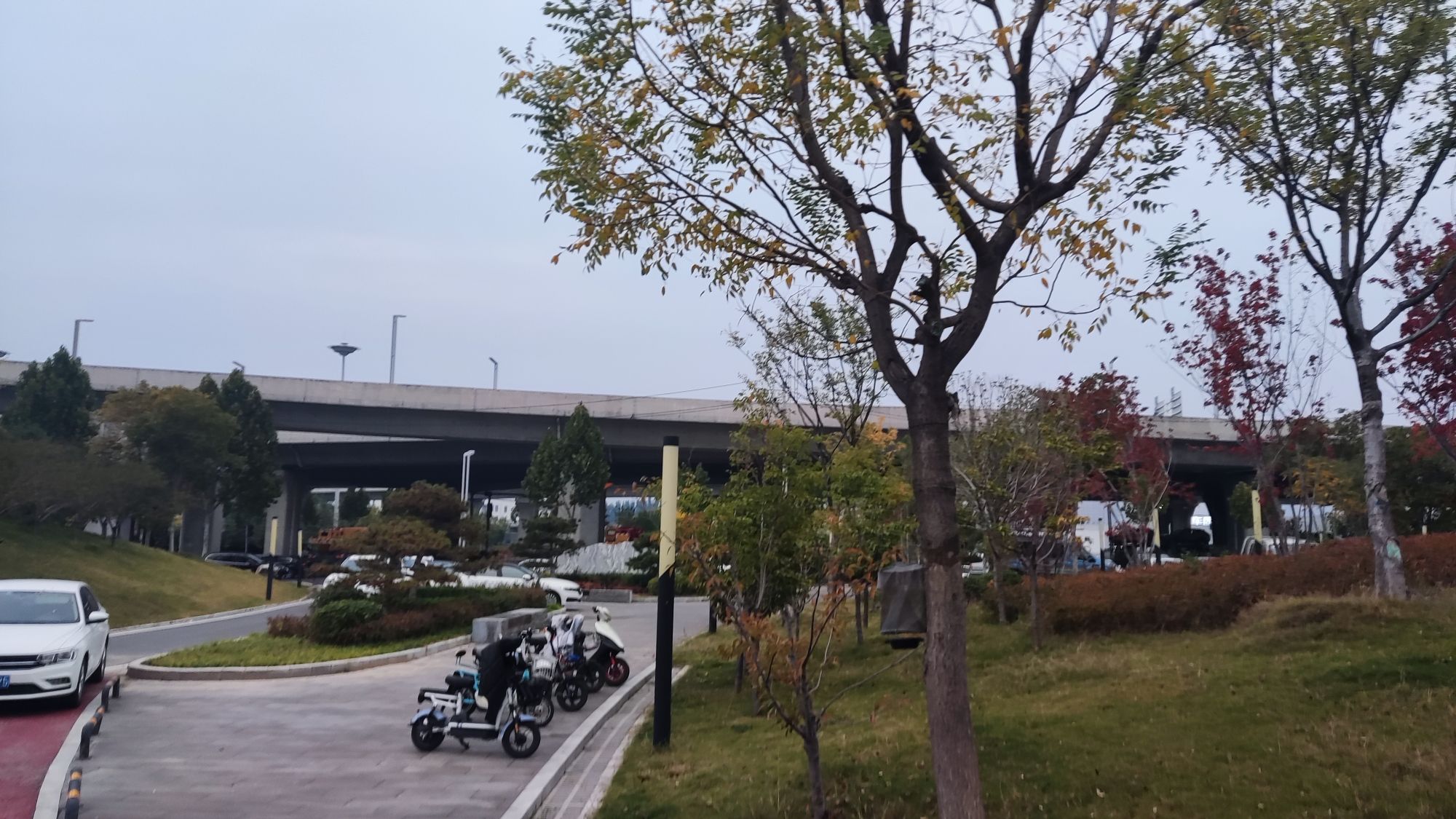 翠屏园旅行图片 1