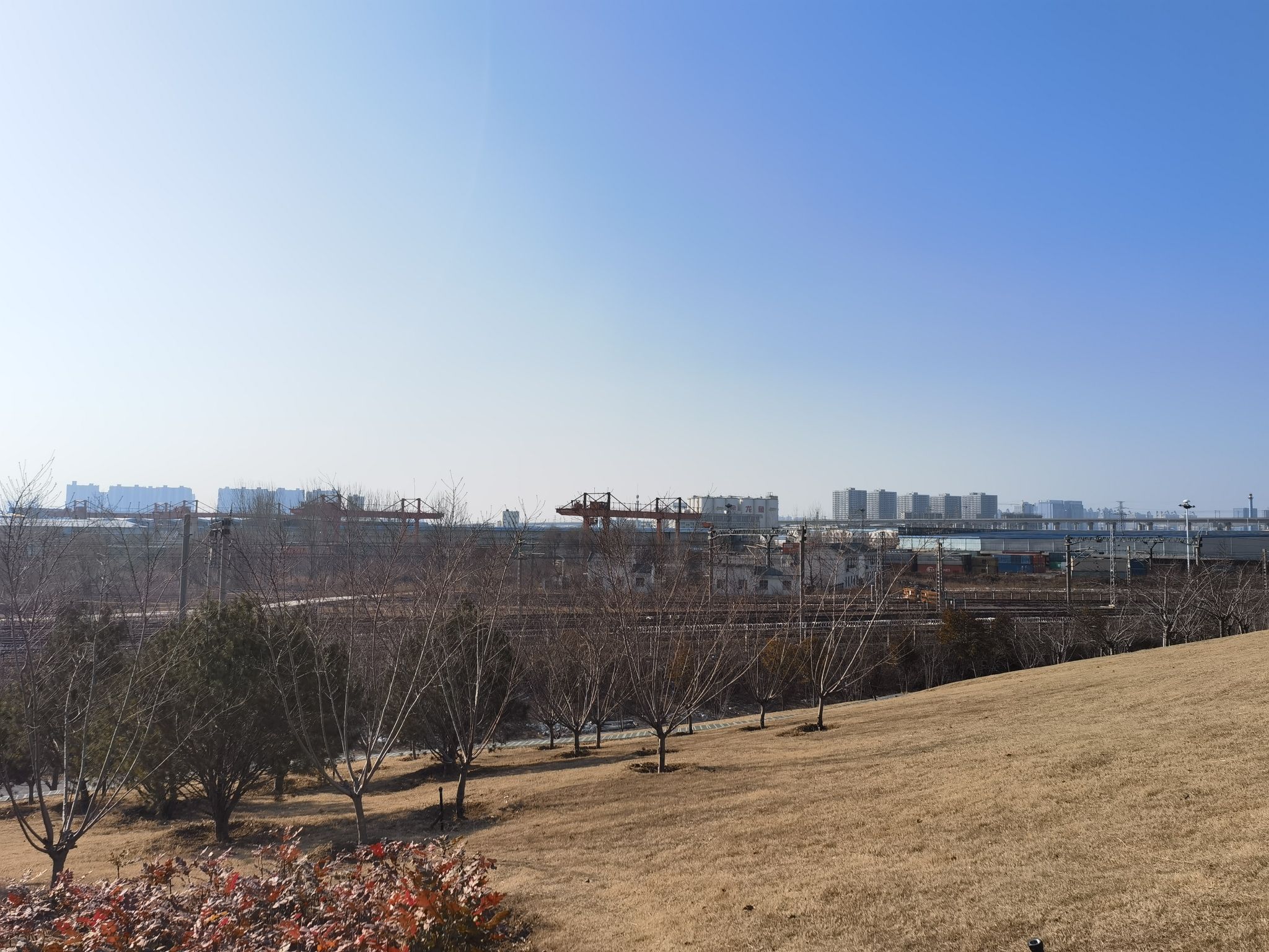 翠屏园旅行图片 3