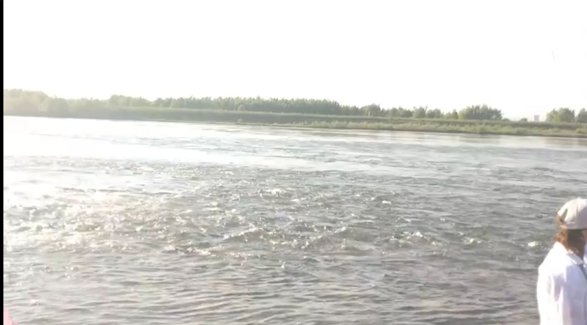 孟津黄河湿地台荫恢复区旅行图片 1