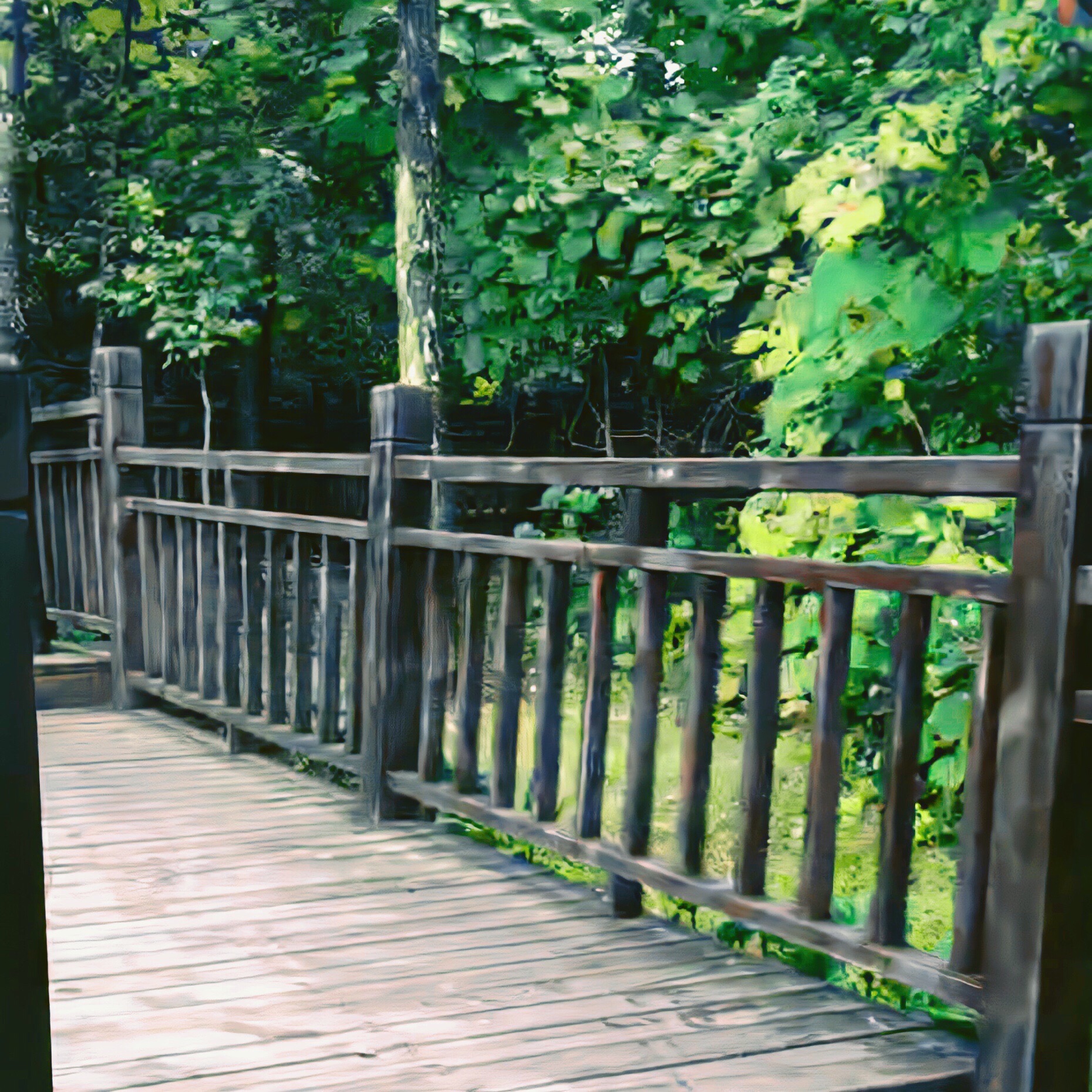 自安山城一号门址旅行图片 1