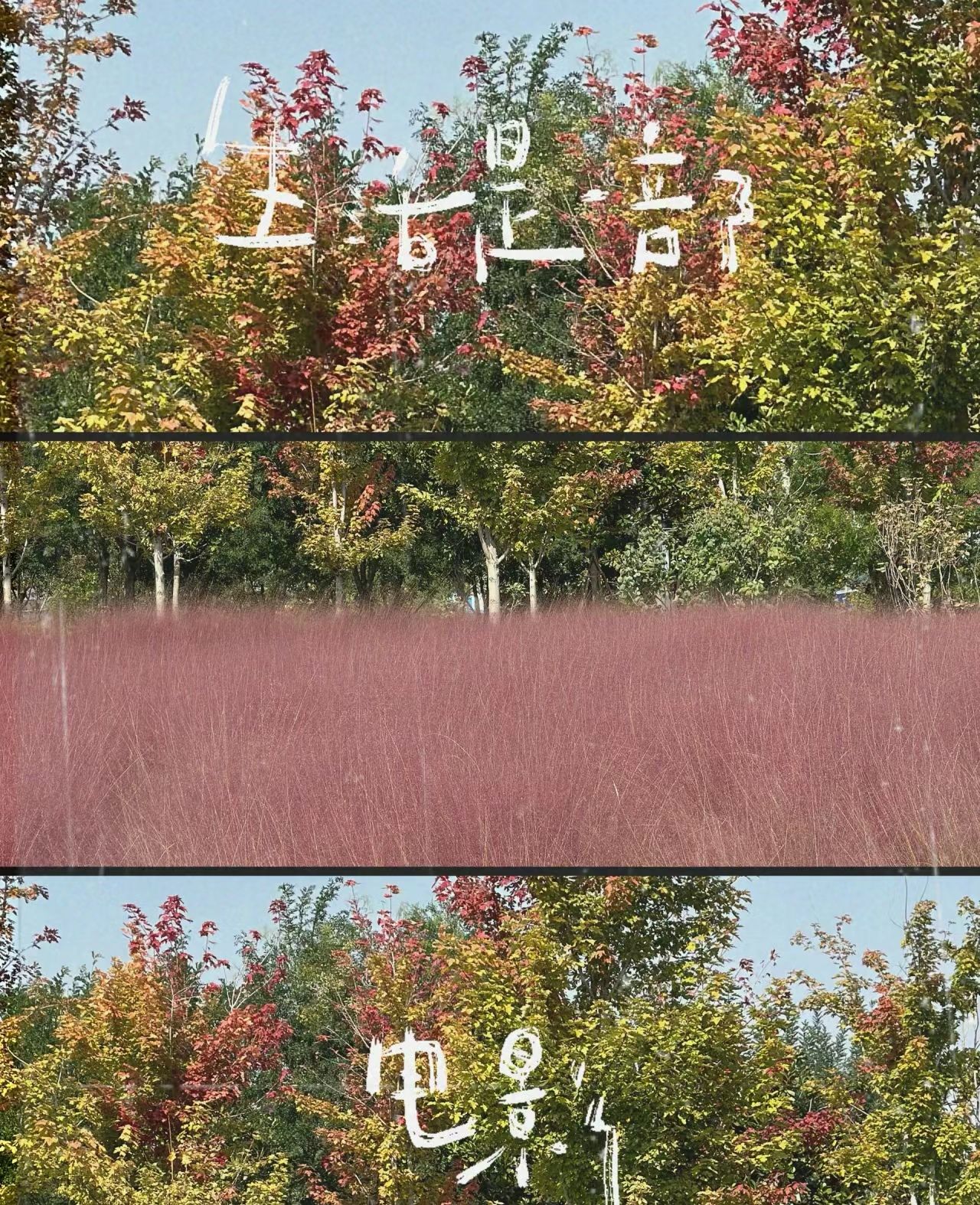 前程公园旅行图片 1