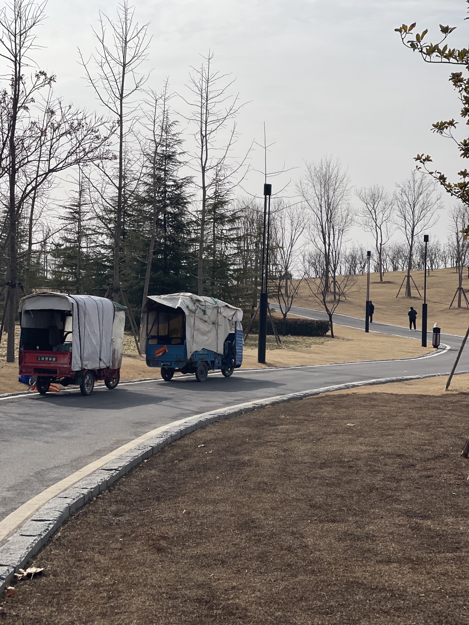 前程公园旅行图片 1