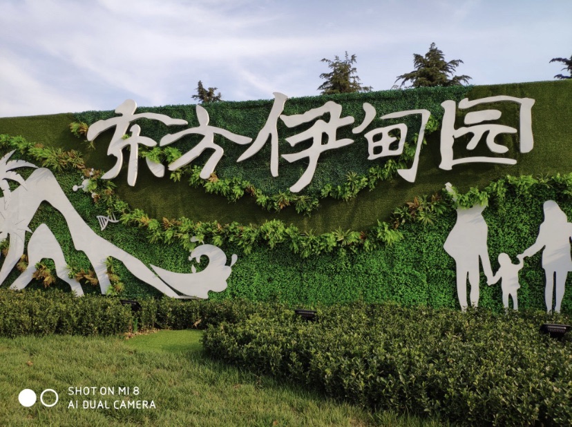 东方伊甸园旅行图片 3