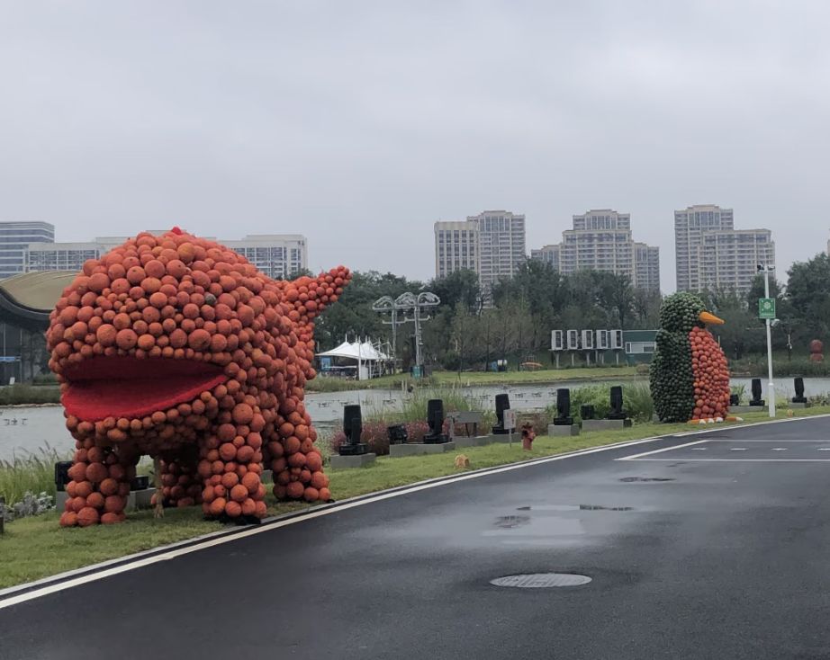 东方伊甸园旅行图片 2