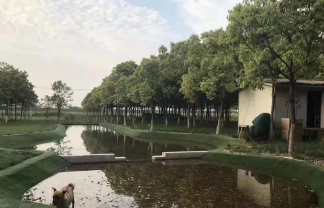 农道有机公园旅行图片 3