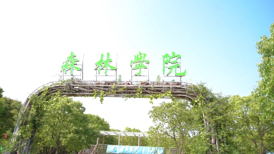 农道有机公园旅行图片 2