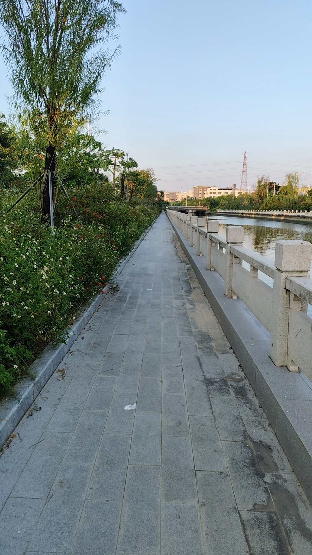 南车公园旅行图片 1