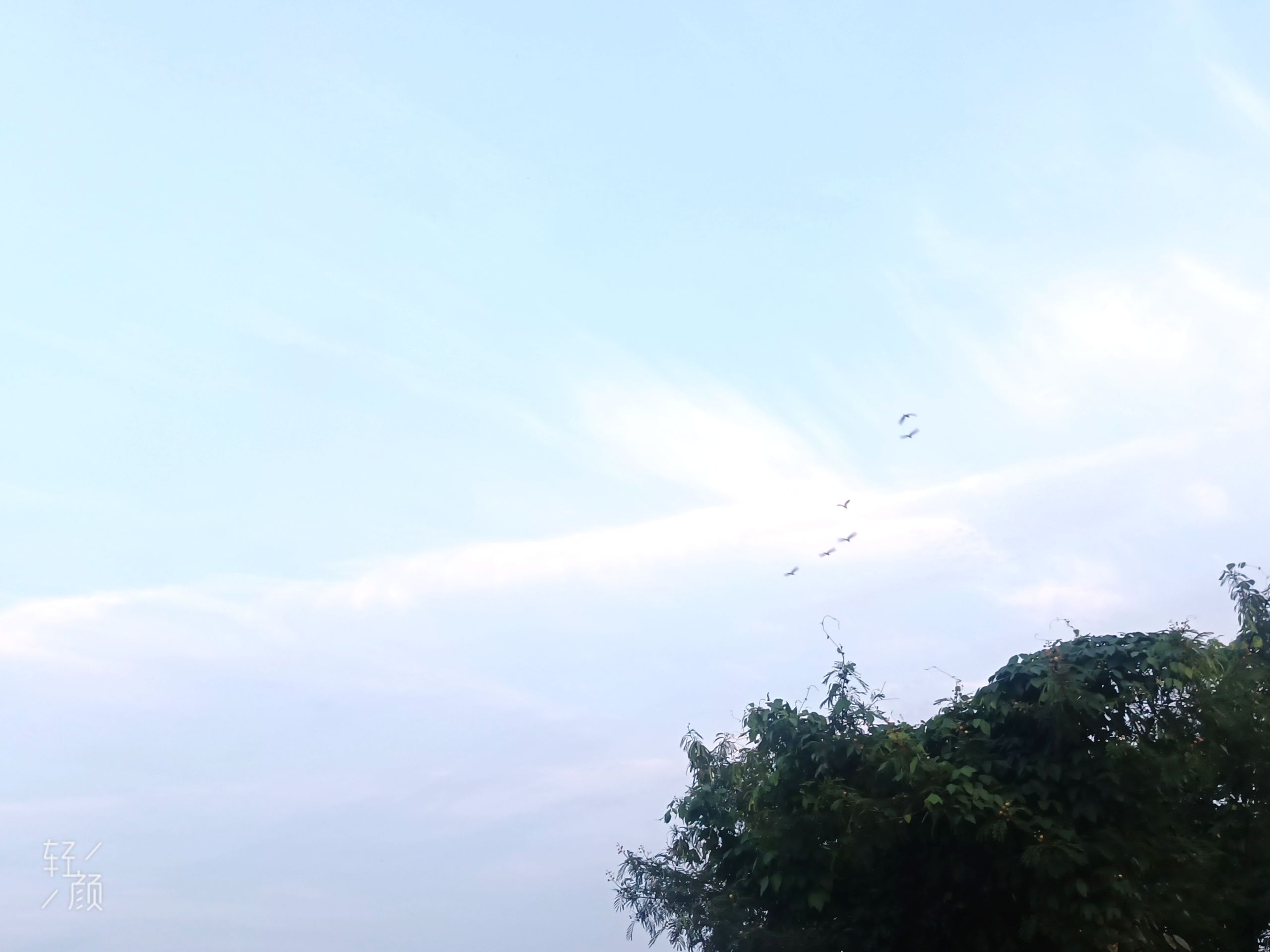 南车公园旅行图片 2