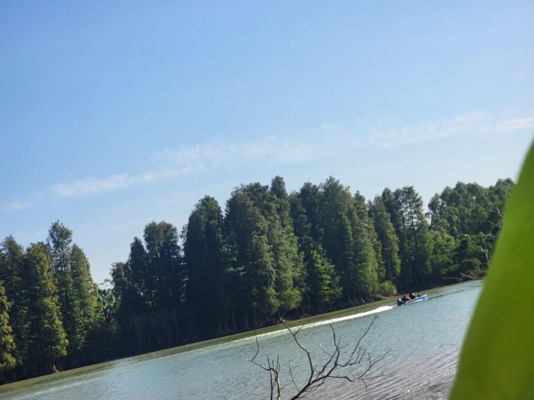 南车公园旅行图片 3
