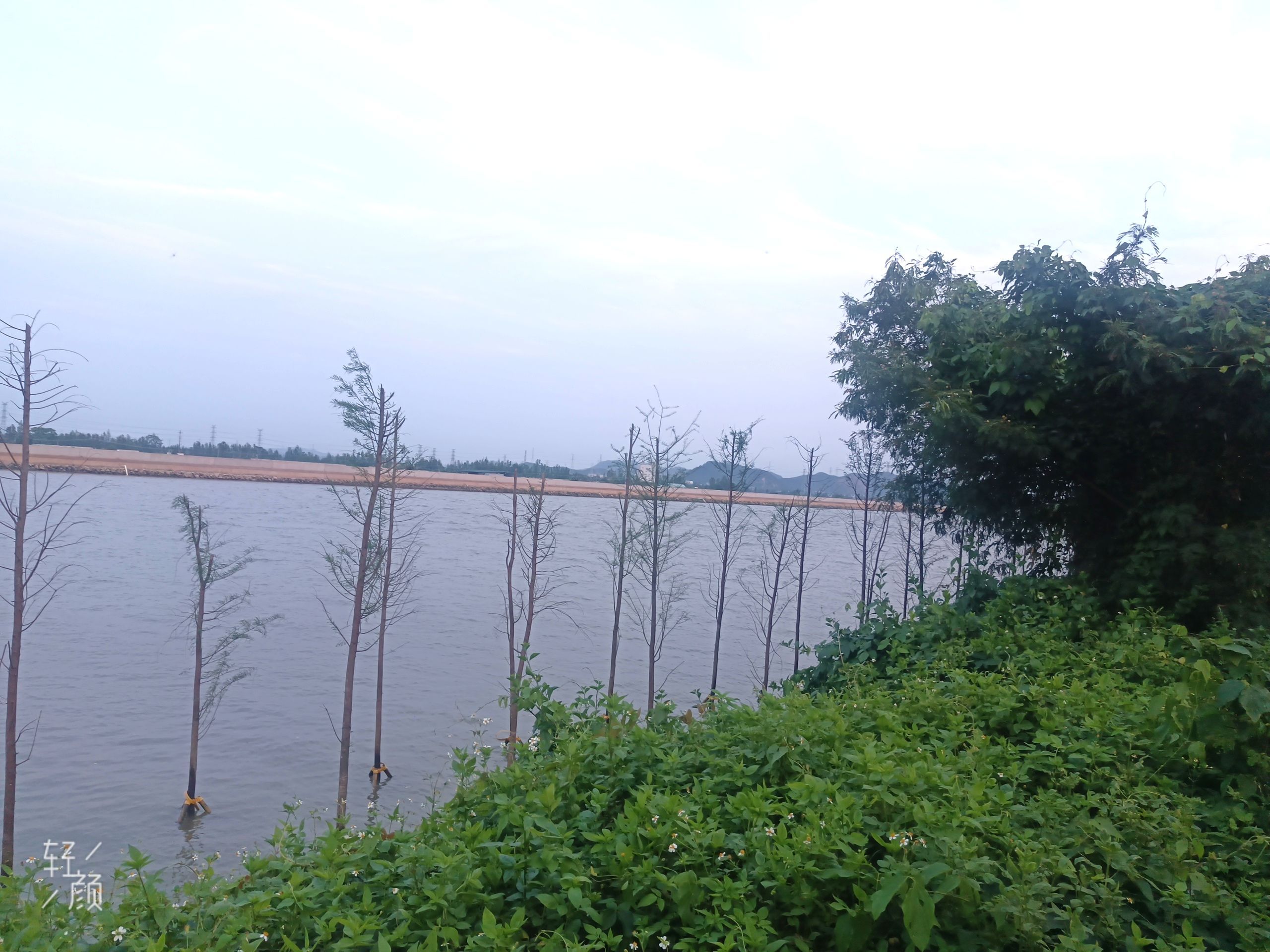 南车公园旅行图片 1