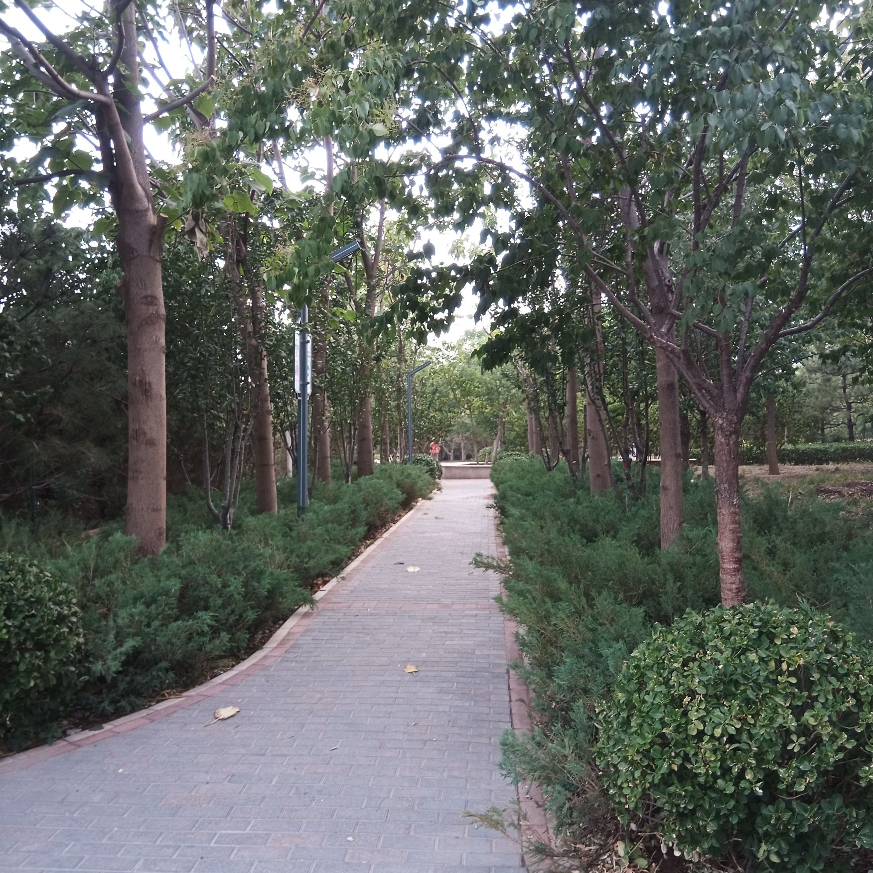 锦绣公园旅行图片 2