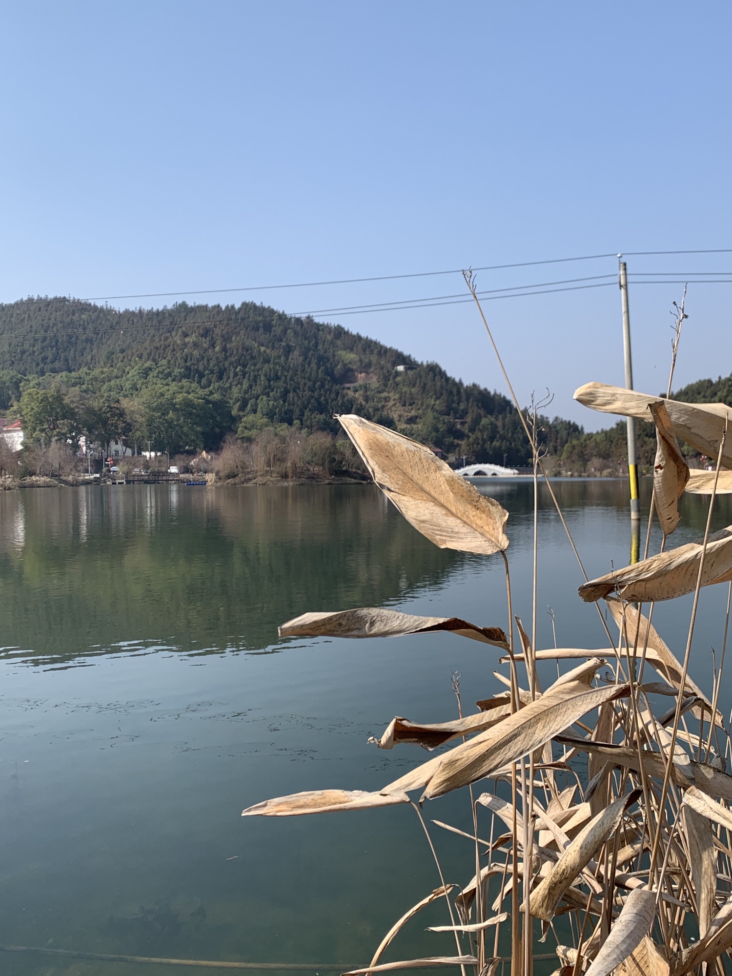 小西湖旅行图片 3
