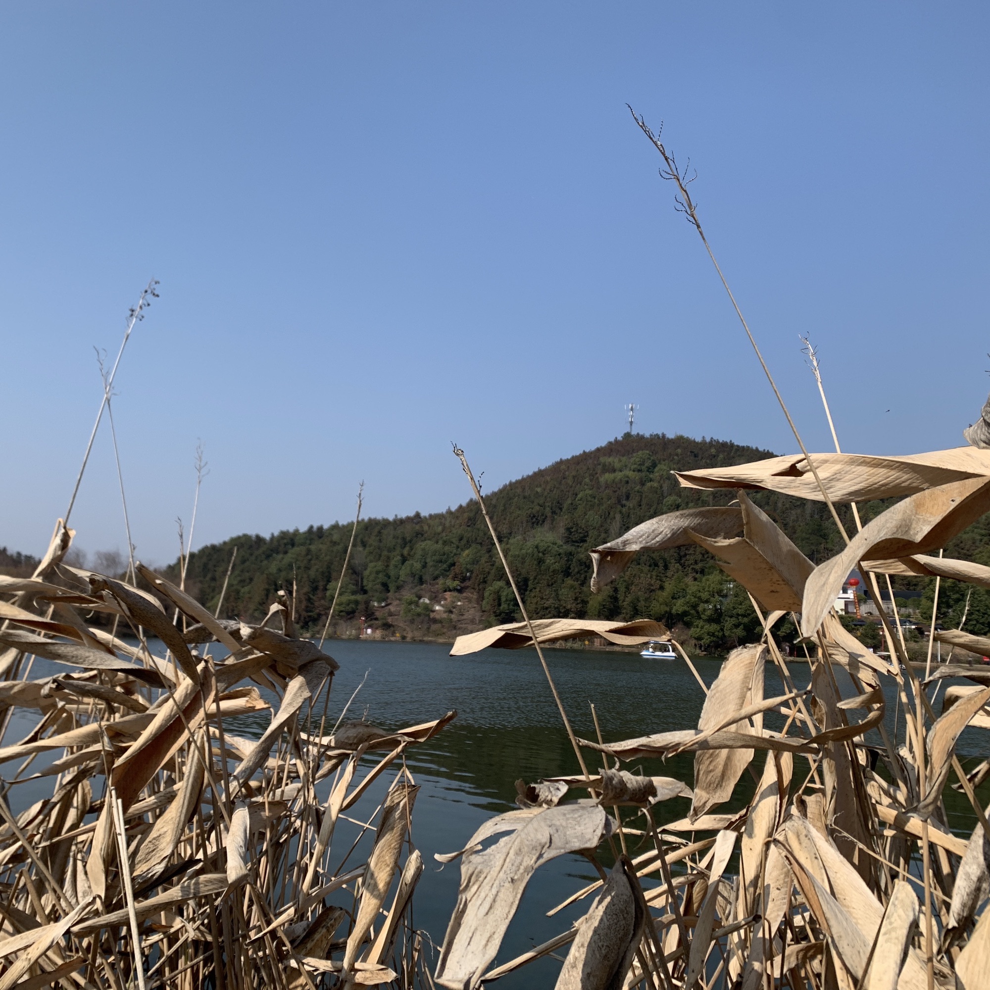 小西湖旅行图片 1