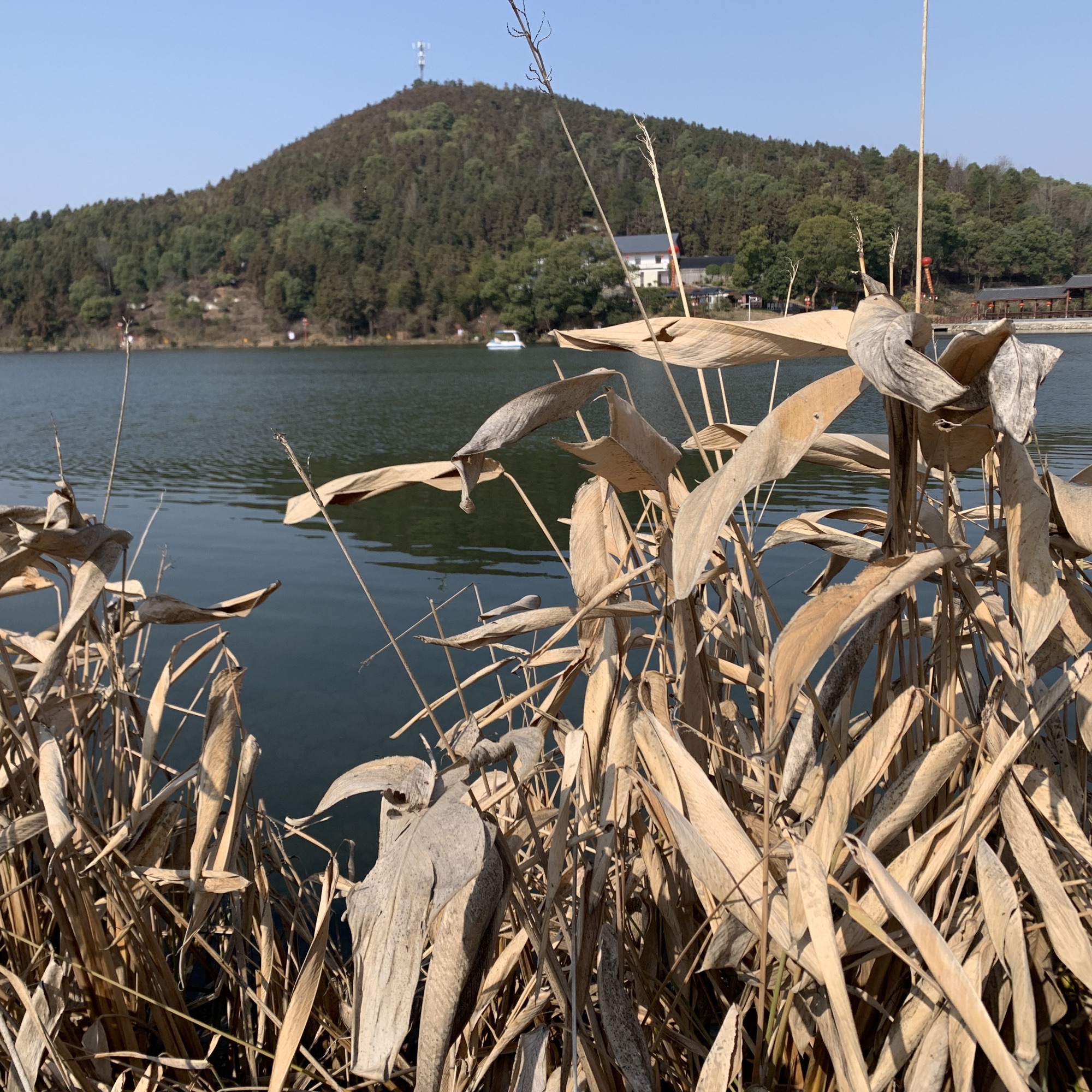 小西湖旅行图片 2