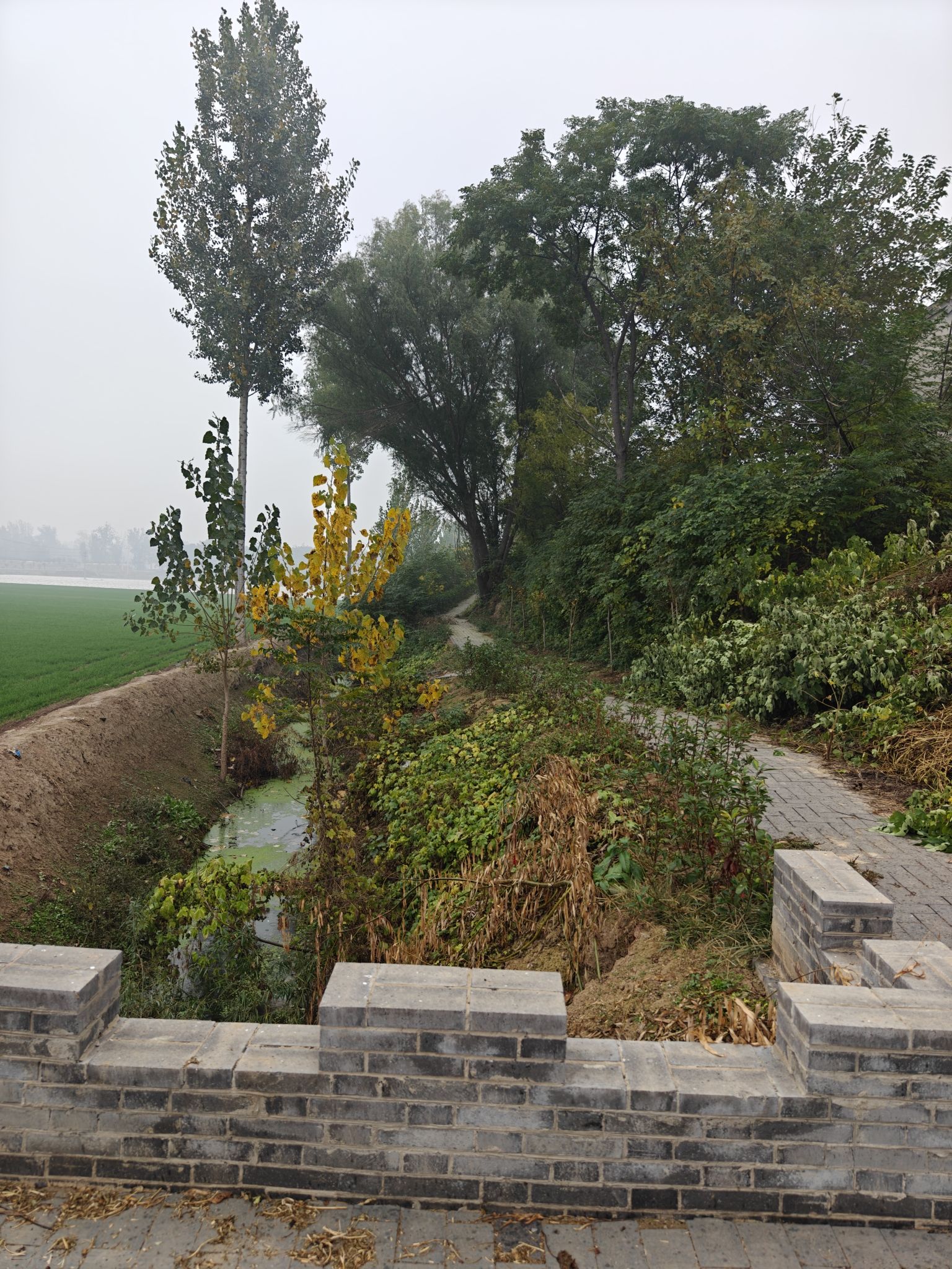 司马故里旧址旅行图片 3