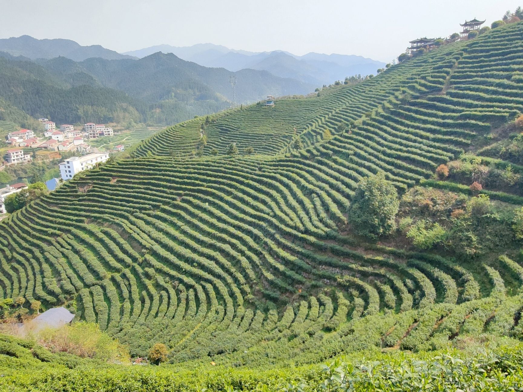 古楼驿生态文化旅游区旅行图片 3